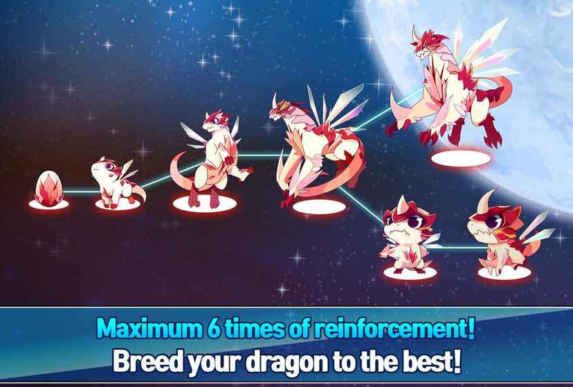 神龙部落APP