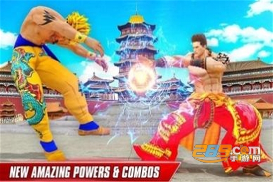 Kung Fu Fighting(功夫格斗领域汉化版)v21