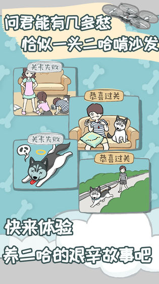 养只二哈不容易APP