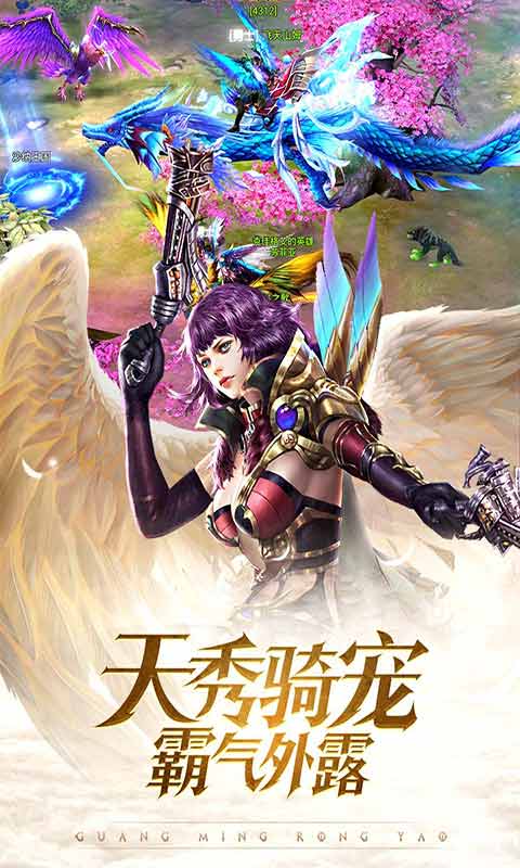 光明荣耀 果盘版