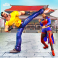 Kung Fu Fighting(功夫格斗领域汉化版)v21