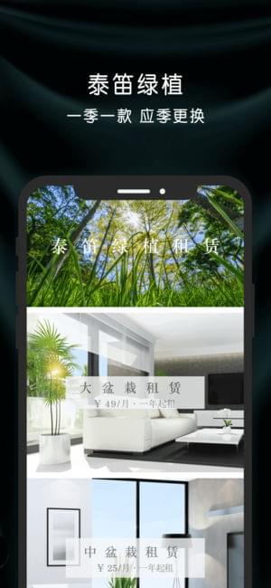 泰笛生活APP