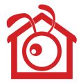 蚂蚁生活APP
