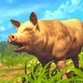 Bad Piggies(一只特立独行的猪游戏官方版)v1.2安卓版