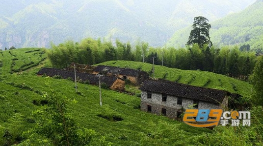 闽政通app交医疗保险