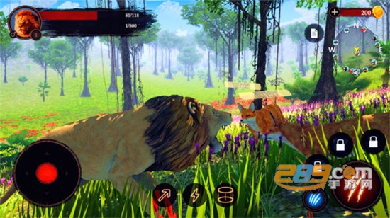 狮子王模拟器破解版无限升等级v1.0.1最新版