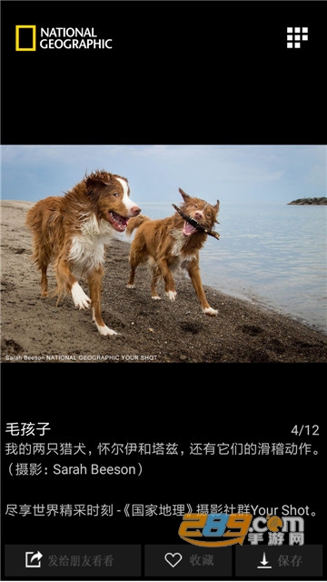 国家地理官方appv2.6.1
