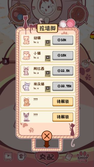 云撸猫咪APP