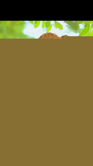 snow贴纸相机APP