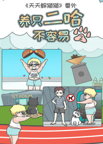 养只二哈不容易2app