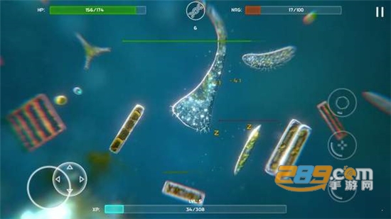 Bionix(微生物的起源模拟器中文安卓版)v40.48中文版