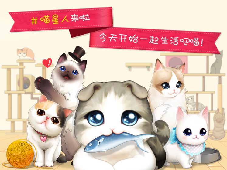 猫猫咖啡屋APP