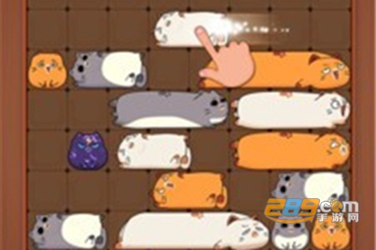 猫咪滑块