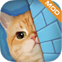 橘猫侦探社破解版不看广告领奖励v1.1.2最新版