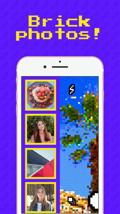 BricksCameraAPP