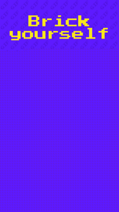 BricksCameraAPP