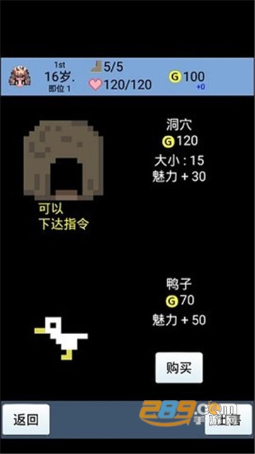 大生子王国零壹汉化版v1.17