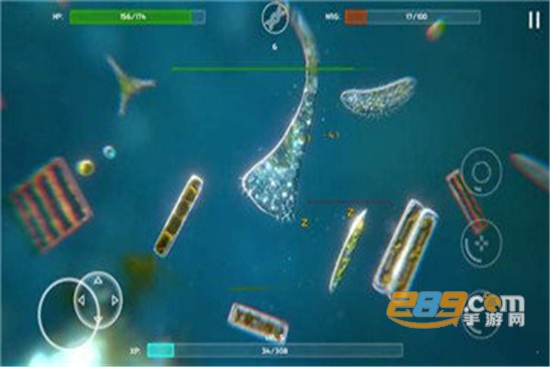 微生物的起源中文破解版