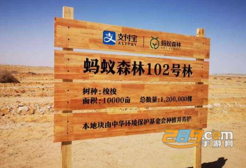 蚂蚁能量助手自动偷好友能量app