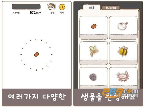 DoodleGod(神明育成游戏中文版)v1.0.1安卓版