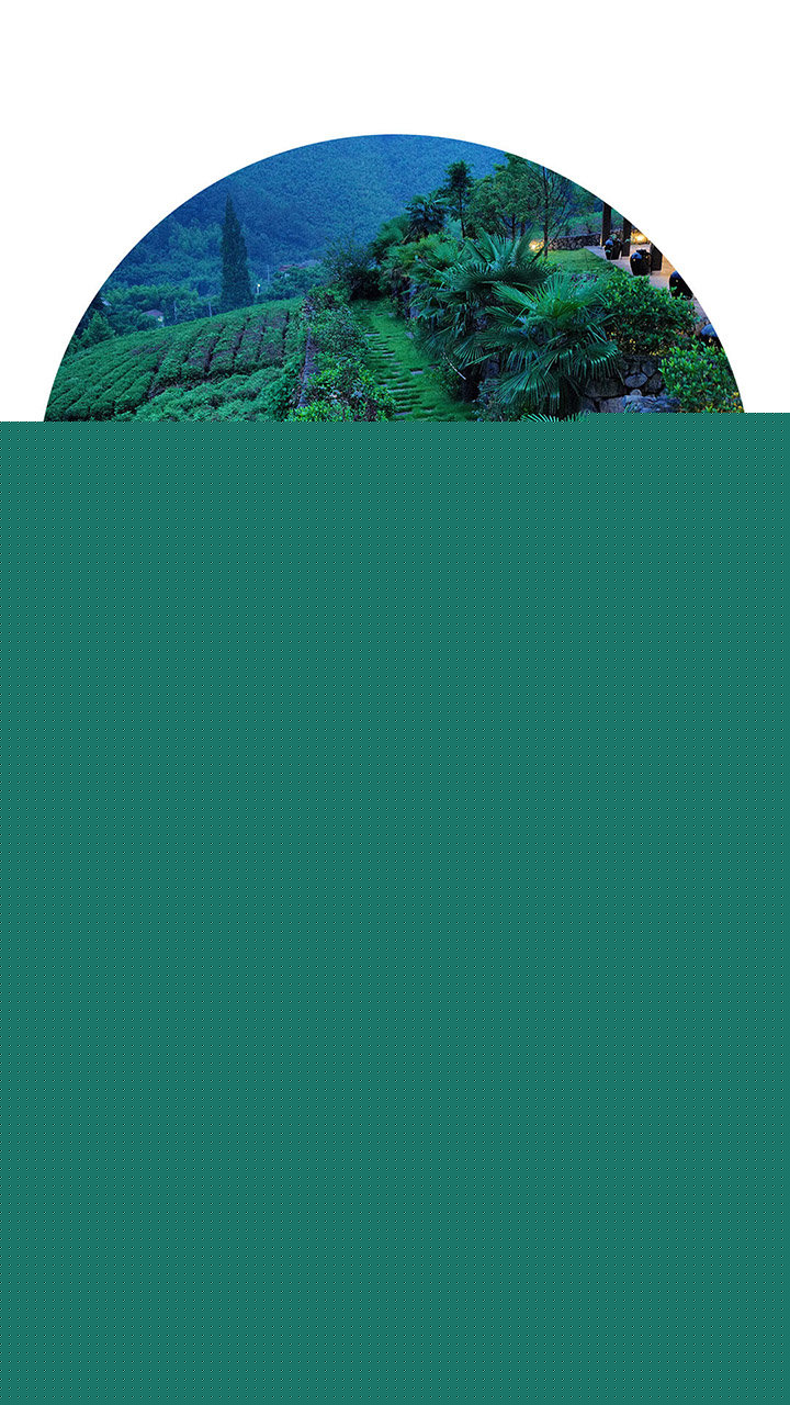 圆形相框照相机APP