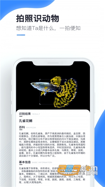 百科扫描王app手机免费版v1.0.0最新安卓版