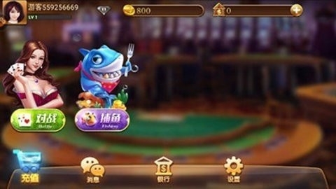 325旧版本游戏