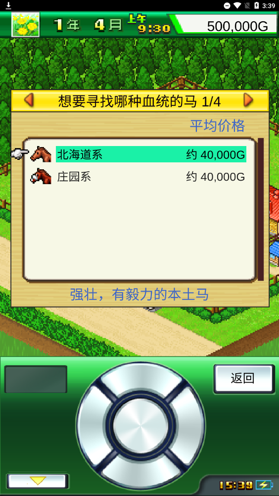 赛马牧场物语