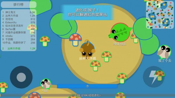 丛林大作战正版