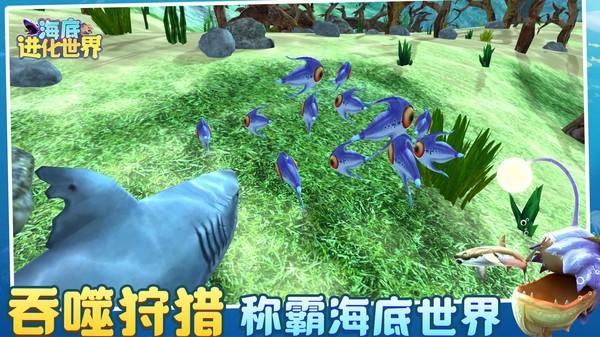 海底进化世界免广告版