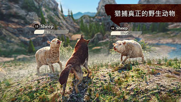 狼族中文版(The Wolf)