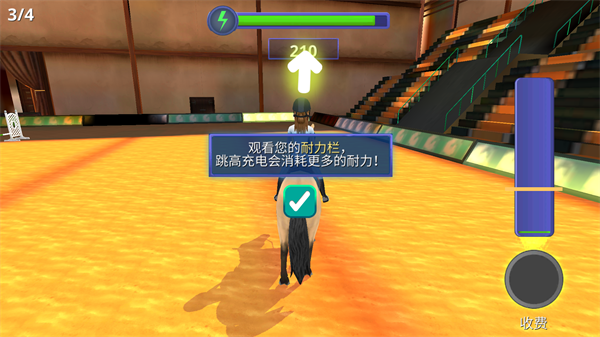 骑马故事(HorseRidingTales)