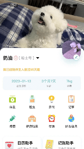 述宠