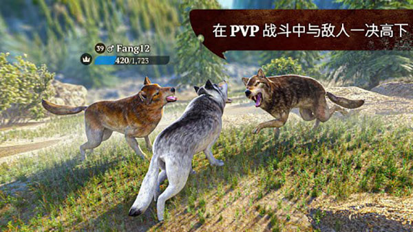 狼族中文版(The Wolf)