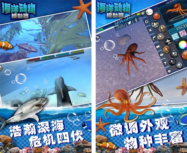 海洋动物模拟器图片