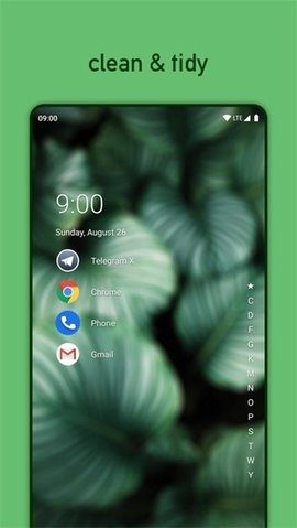 尼亚加拉启动器(Niagara Launcher)