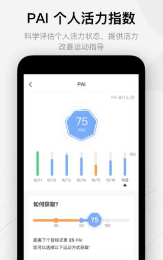华米手表(Zepp)
