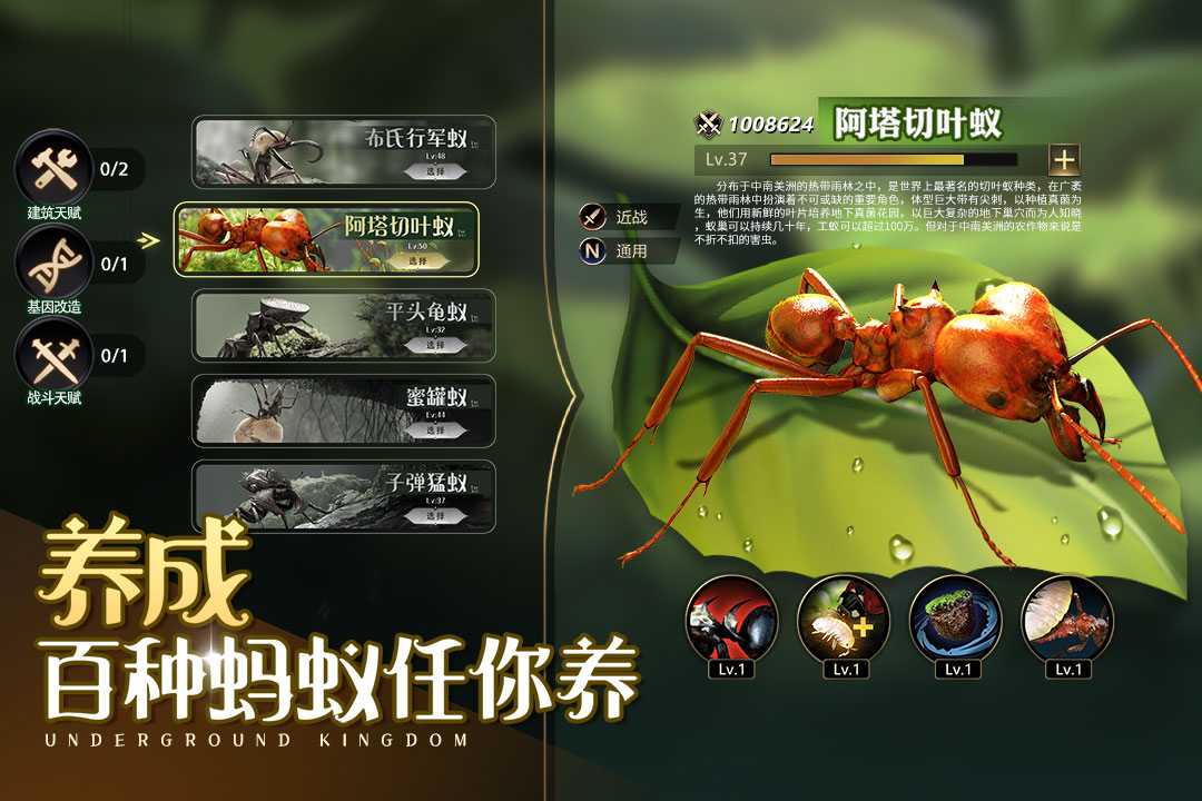 小小蚁国手机版