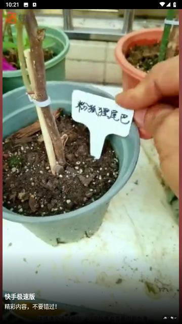 俏佳人影视