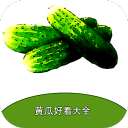 黄瓜好看大全