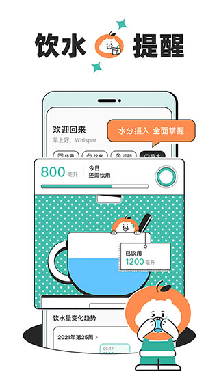 饭橘减肥