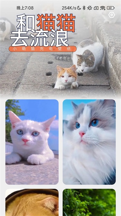 充电招福app