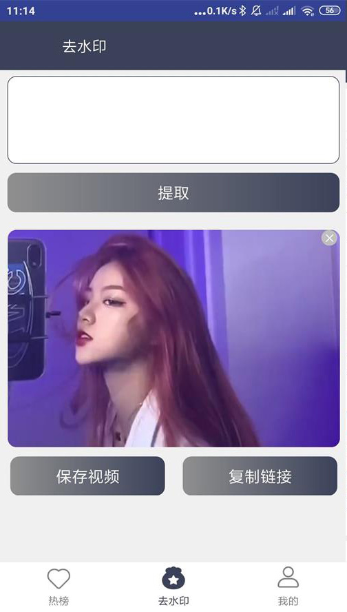 短视频去水印大师免费版