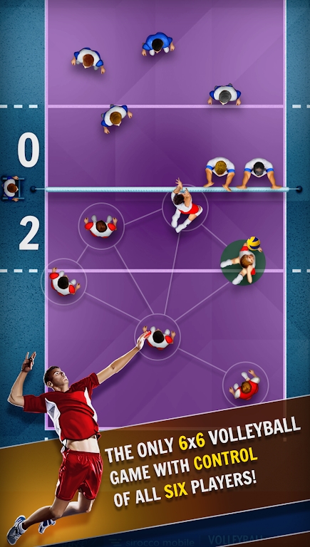 VolleyballChampionship