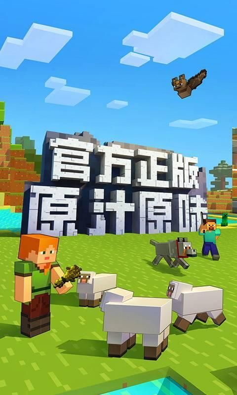 我的世界1.17