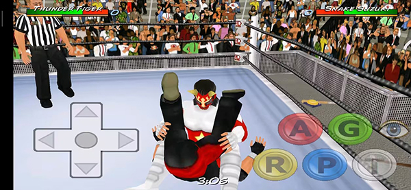 摔跤革命3d(Wrestling Revolution 3D)