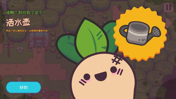 大头菜小子逃税了