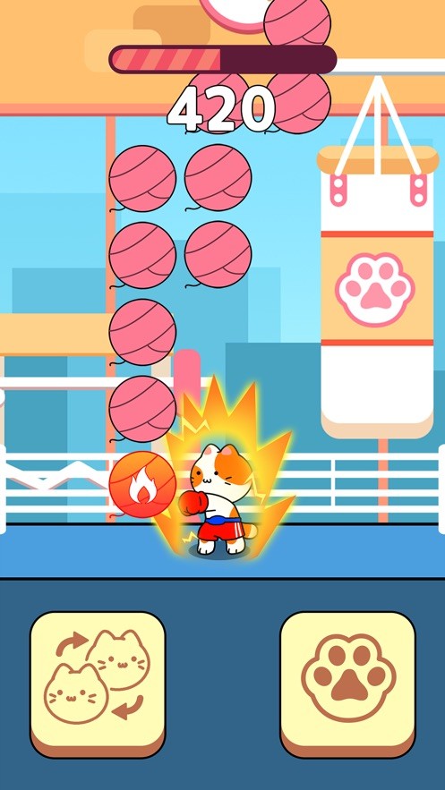 猫打拳