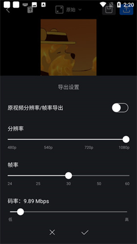 VN