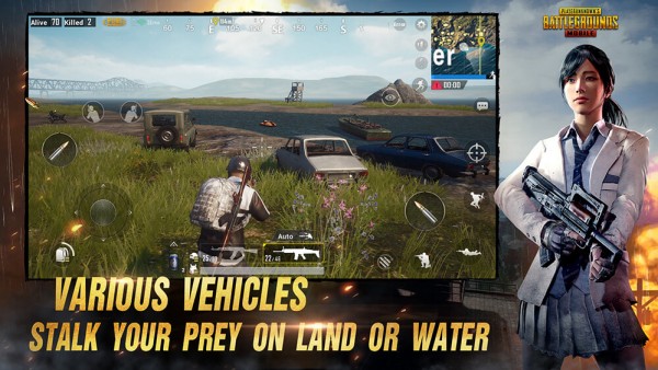 刺激战场亚服